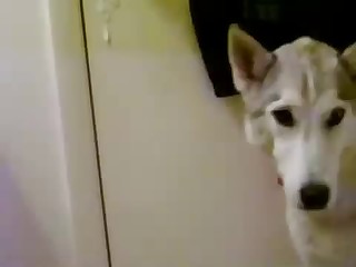 Good animal screwing with my hot wife