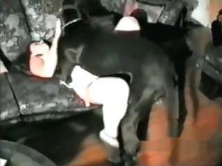 Fantastic sex with a black beast