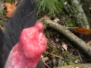 Black dog licks his own boner on grass