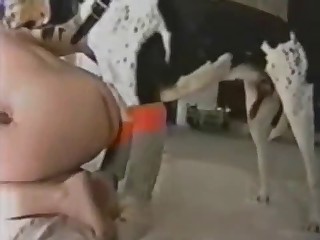 Homemade and cozy bestiality video