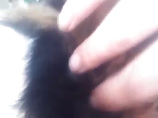 A hairy animal and a hot lover have fun on camera