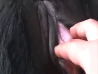 Cow vag is going to get fingered by a hot dude