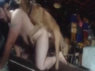 Dude with a hubby ass fucked by a horny dog