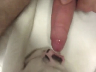 Dude wants to feel the real deal so bad in his ass