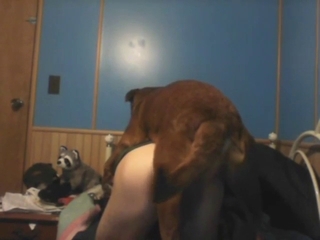 Dog-fucking madness with a big ass, hot cock