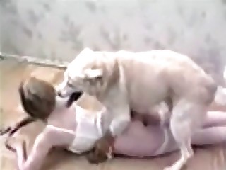 animales teniendo sexo porn videos