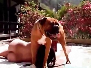 caballo coje gay free porn