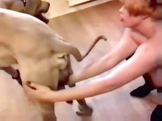 animal beast sex porn movies