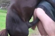 XXX Sex Zoo